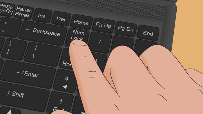 Chưa bật Num Lock hoặc nhấn nhầm phím Num Lock